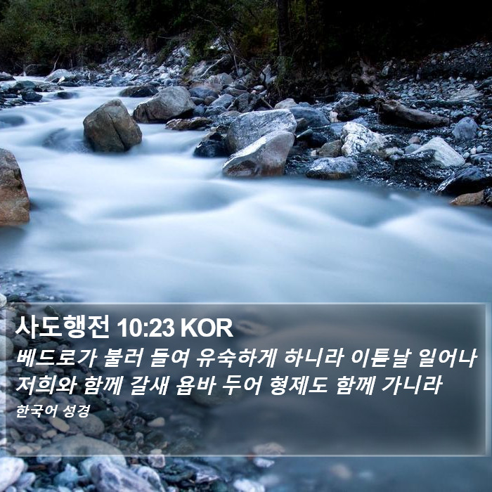 사도행전 10:23 KOR Bible Study