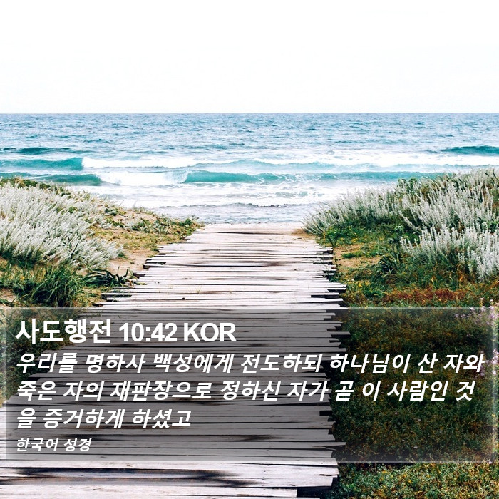사도행전 10:42 KOR Bible Study