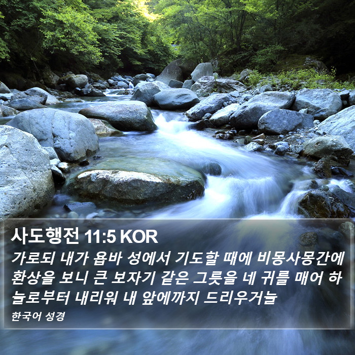 사도행전 11:5 KOR Bible Study