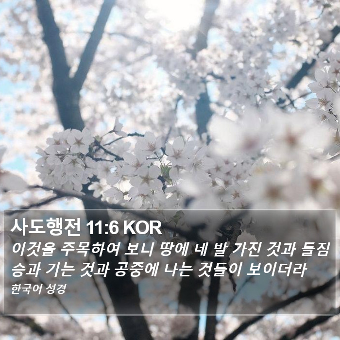 사도행전 11:6 KOR Bible Study