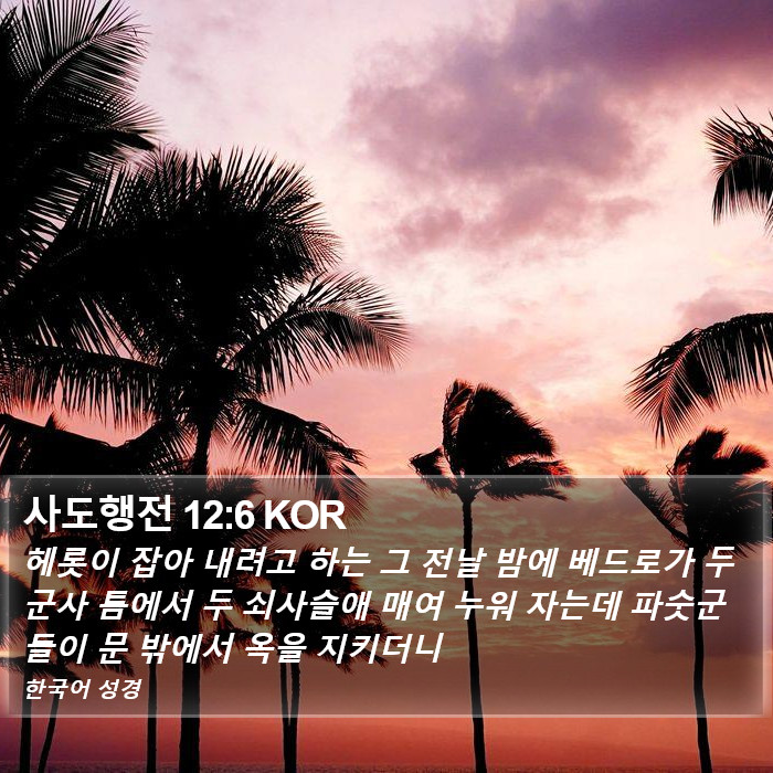 사도행전 12:6 KOR Bible Study
