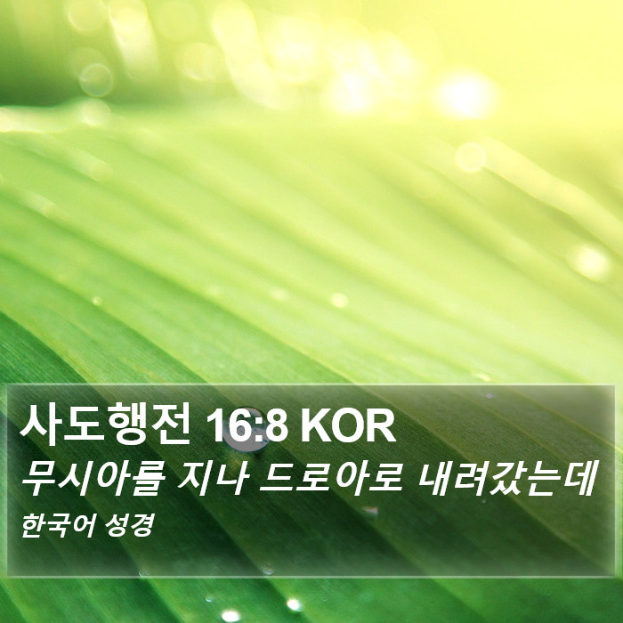 사도행전 16:8 KOR Bible Study