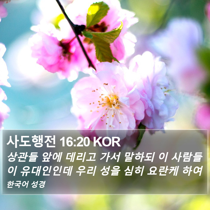 사도행전 16:20 KOR Bible Study