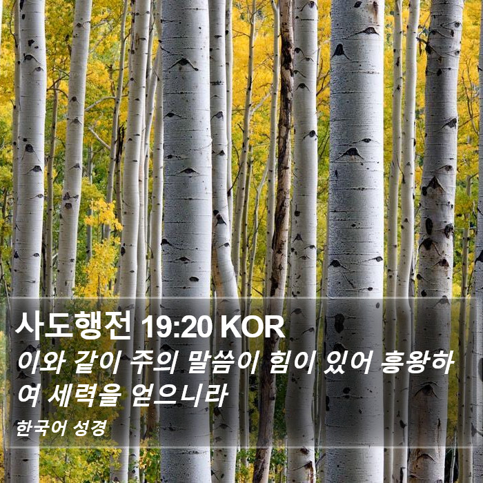 사도행전 19:20 KOR Bible Study