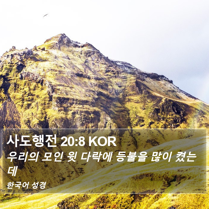 사도행전 20:8 KOR Bible Study