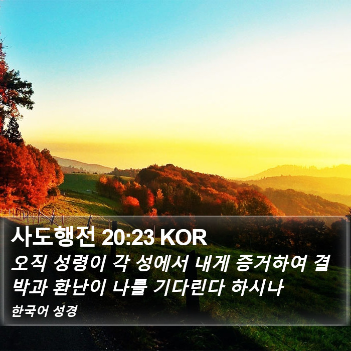 사도행전 20:23 KOR Bible Study