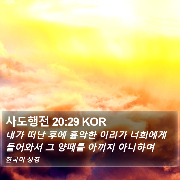 사도행전 20:29 KOR Bible Study