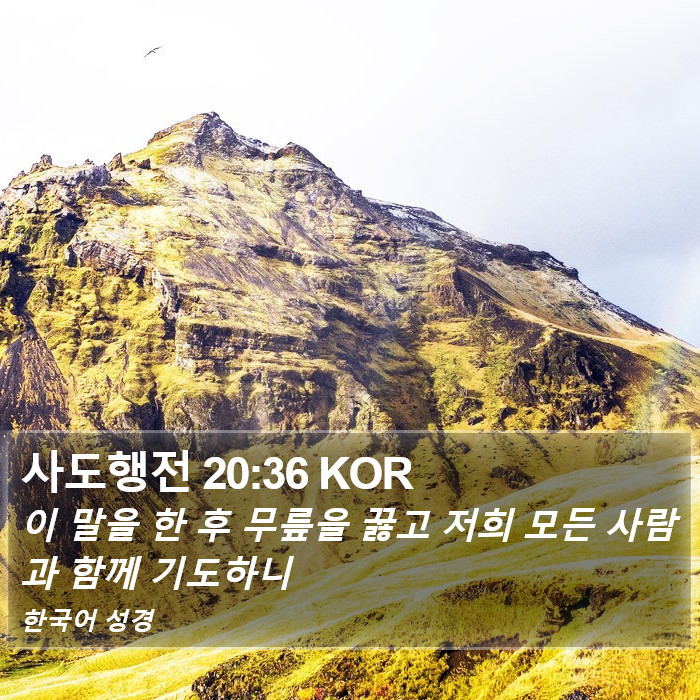 사도행전 20:36 KOR Bible Study