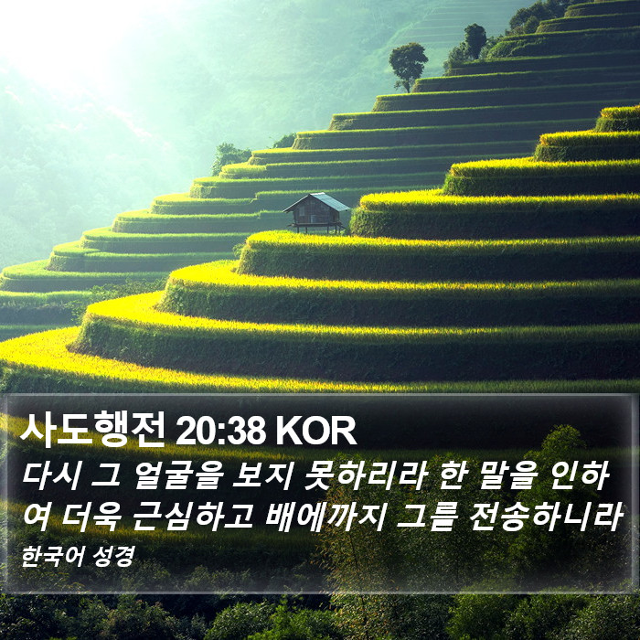 사도행전 20:38 KOR Bible Study