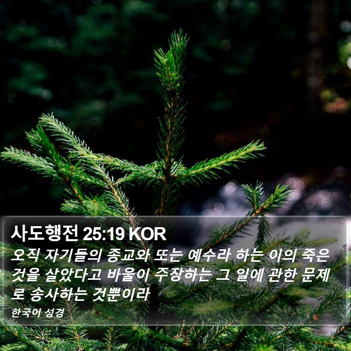 사도행전 25:19 KOR Bible Study