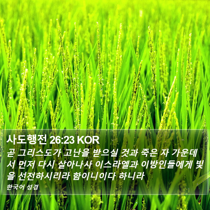 사도행전 26:23 KOR Bible Study