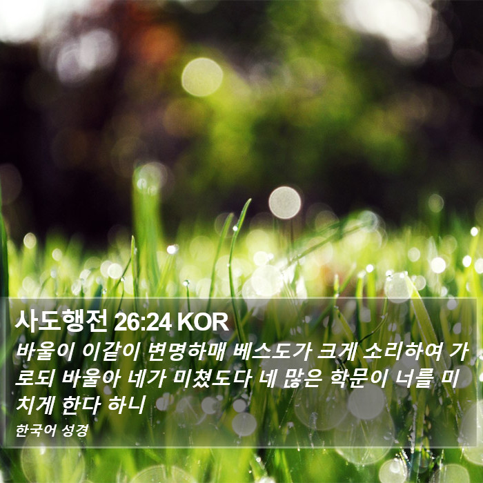 사도행전 26:24 KOR Bible Study