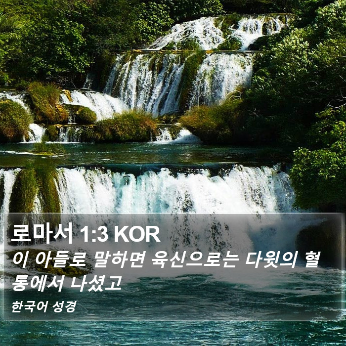 로마서 1:3 KOR Bible Study