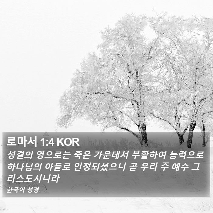 로마서 1:4 KOR Bible Study