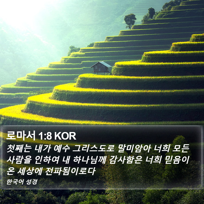 로마서 1:8 KOR Bible Study