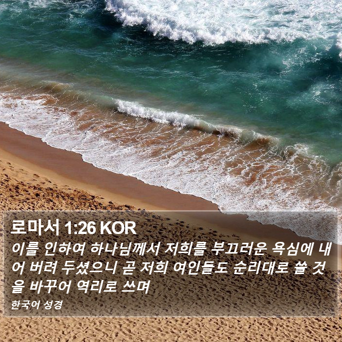 로마서 1:26 KOR Bible Study