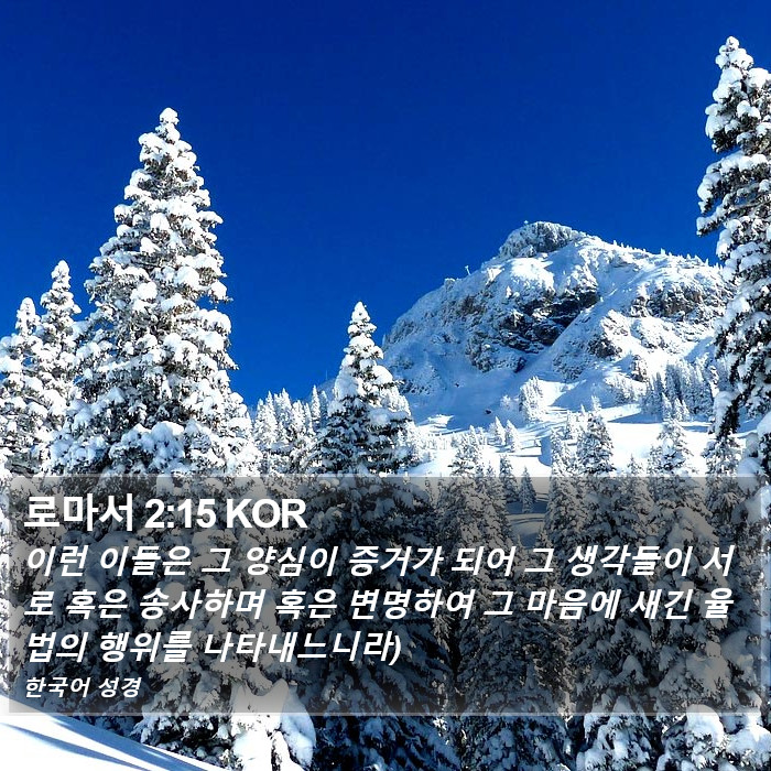 로마서 2:15 KOR Bible Study