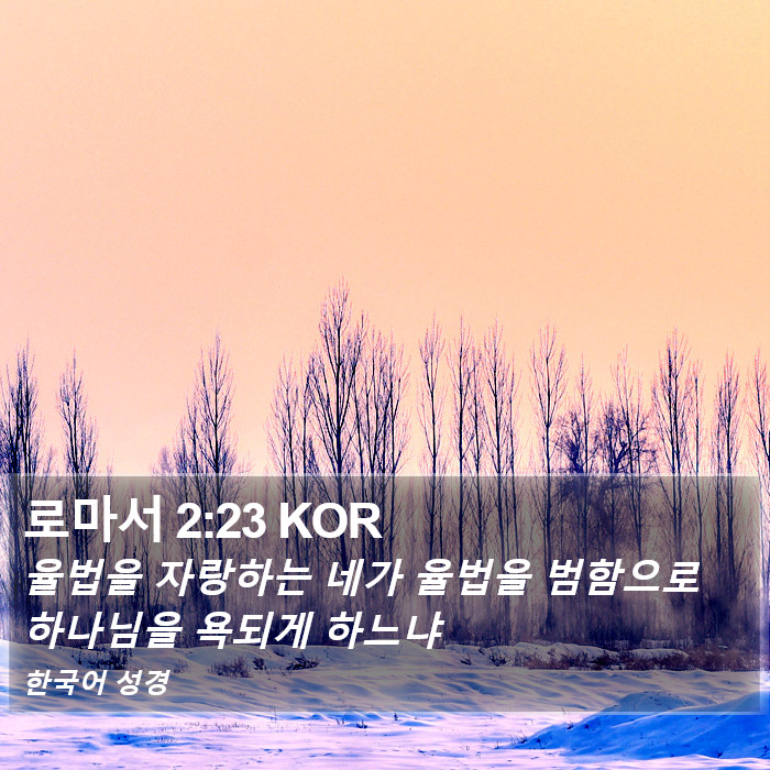 로마서 2:23 KOR Bible Study