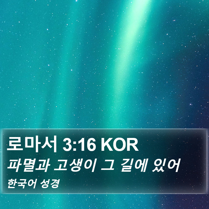 로마서 3:16 KOR Bible Study