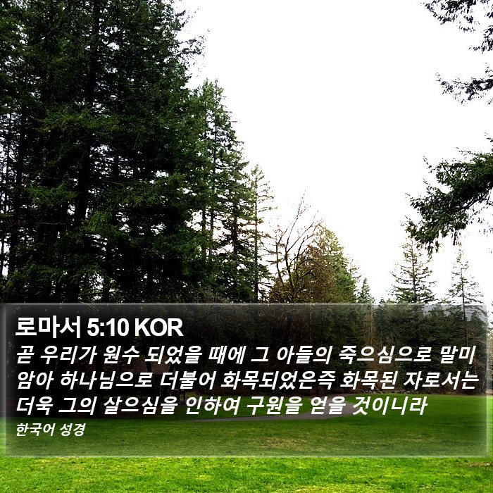 로마서 5:10 KOR Bible Study