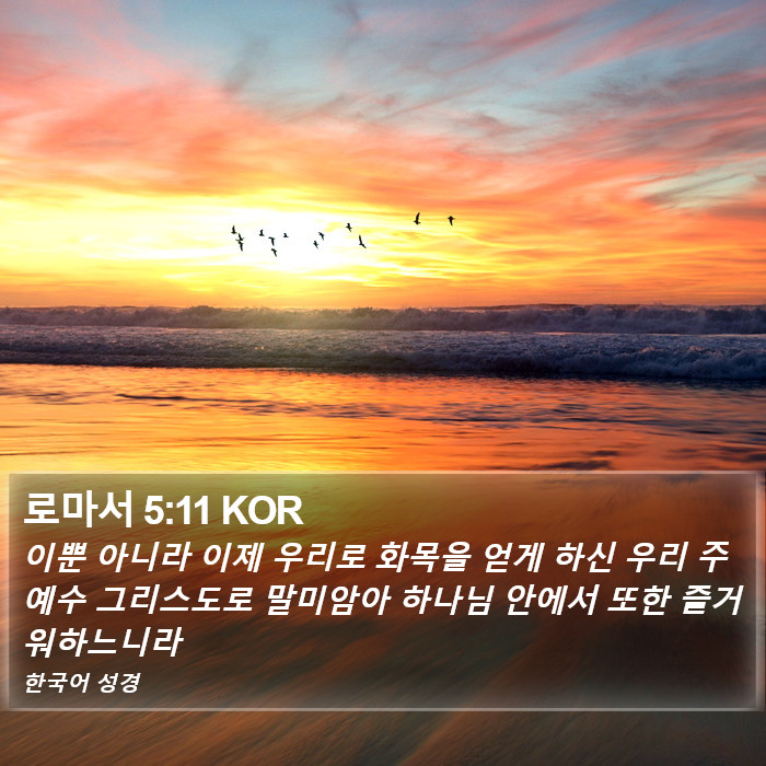 로마서 5:11 KOR Bible Study