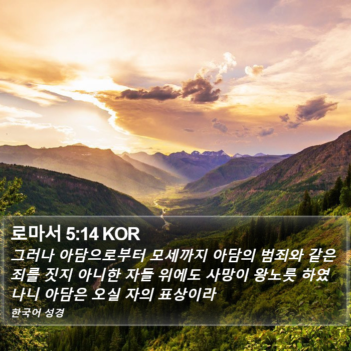 로마서 5:14 KOR Bible Study