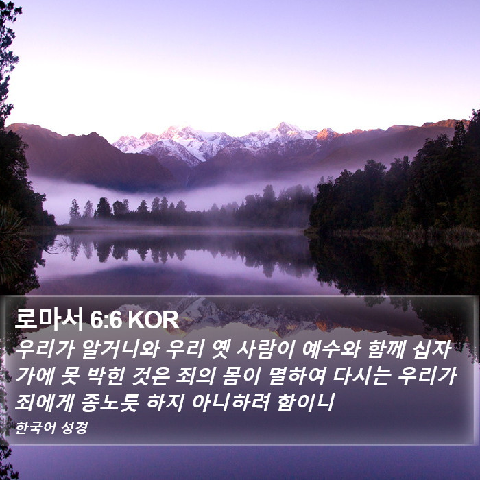 로마서 6:6 KOR Bible Study
