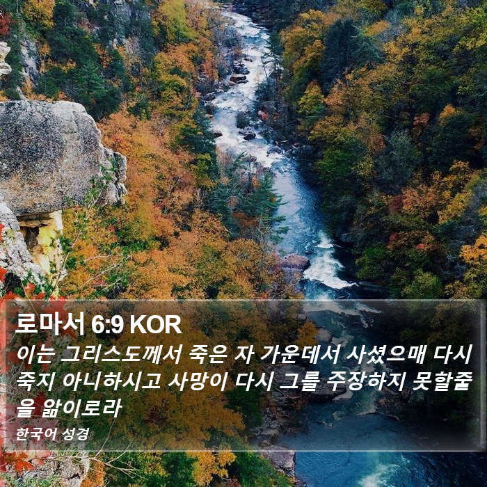 로마서 6:9 KOR Bible Study