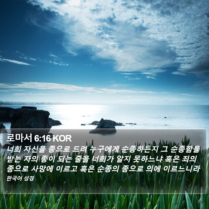 로마서 6:16 KOR Bible Study