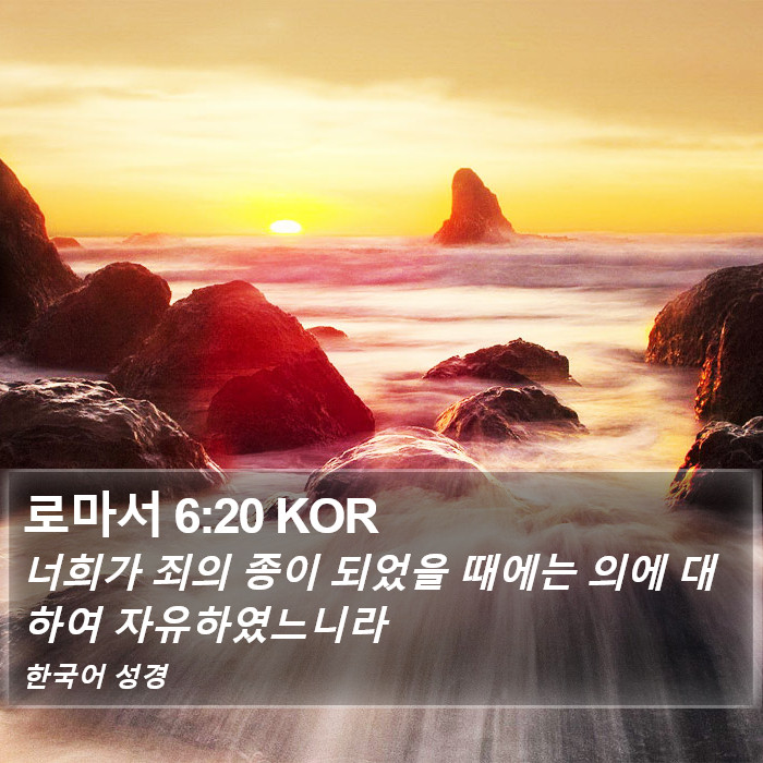 로마서 6:20 KOR Bible Study