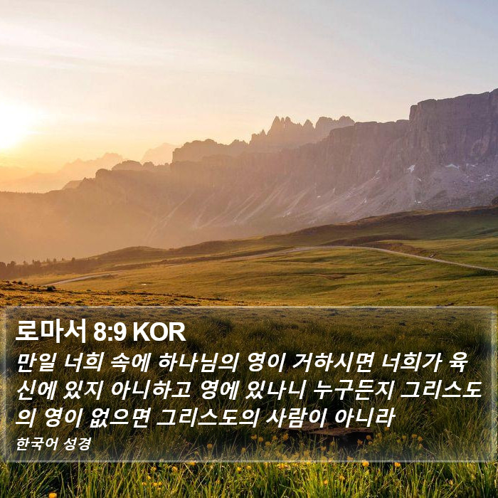 로마서 8:9 KOR Bible Study