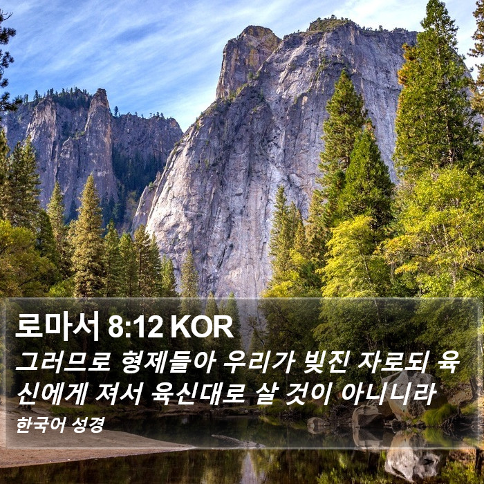 로마서 8:12 KOR Bible Study