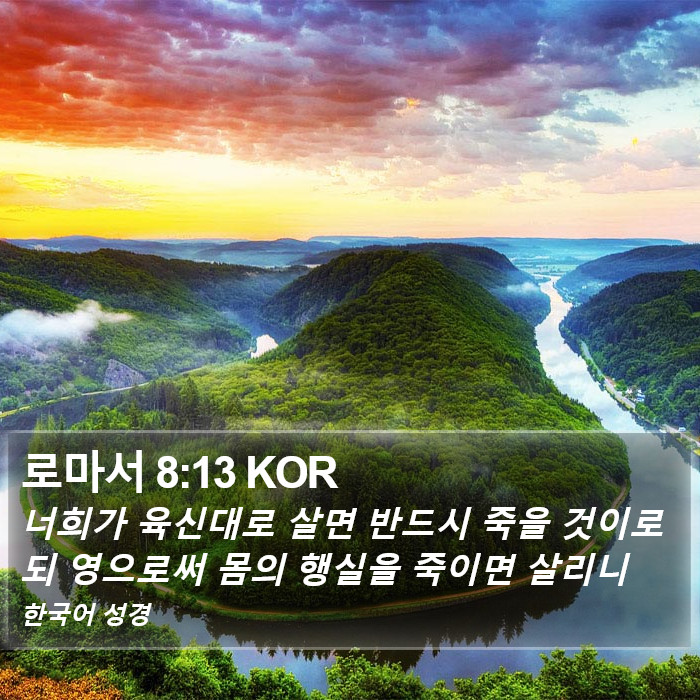 로마서 8:13 KOR Bible Study