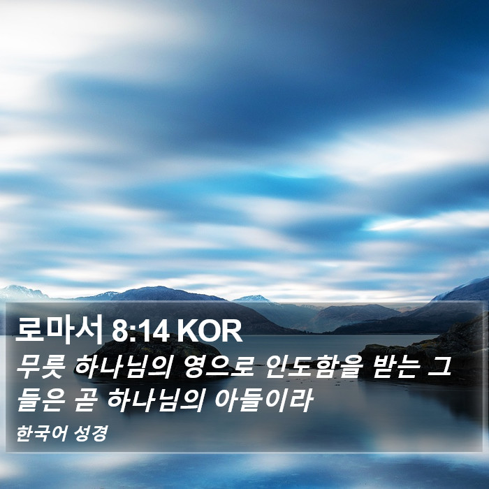 로마서 8:14 KOR Bible Study