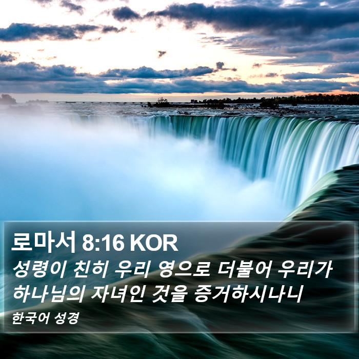 로마서 8:16 KOR Bible Study