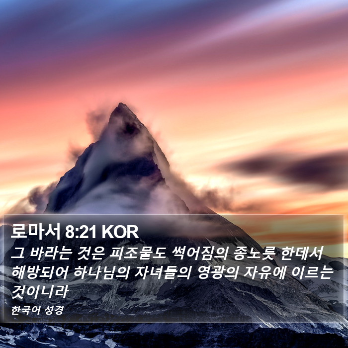 로마서 8:21 KOR Bible Study