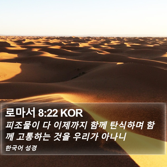 로마서 8:22 KOR Bible Study