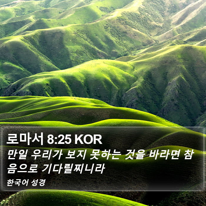 로마서 8:25 KOR Bible Study