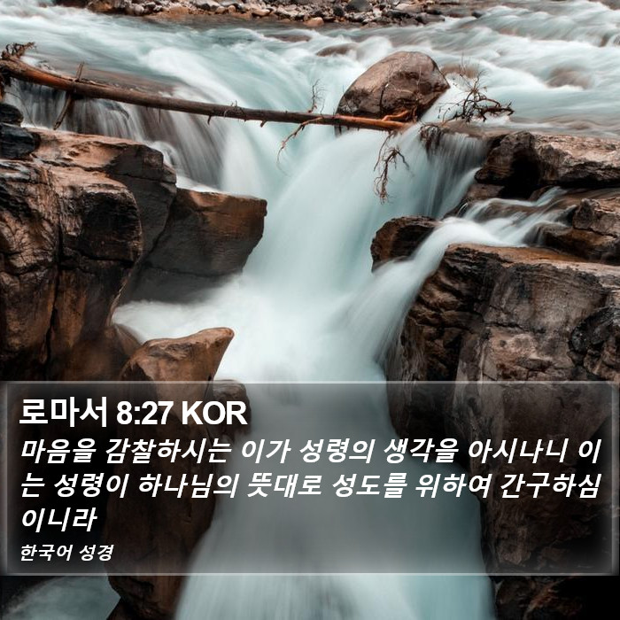 로마서 8:27 KOR Bible Study