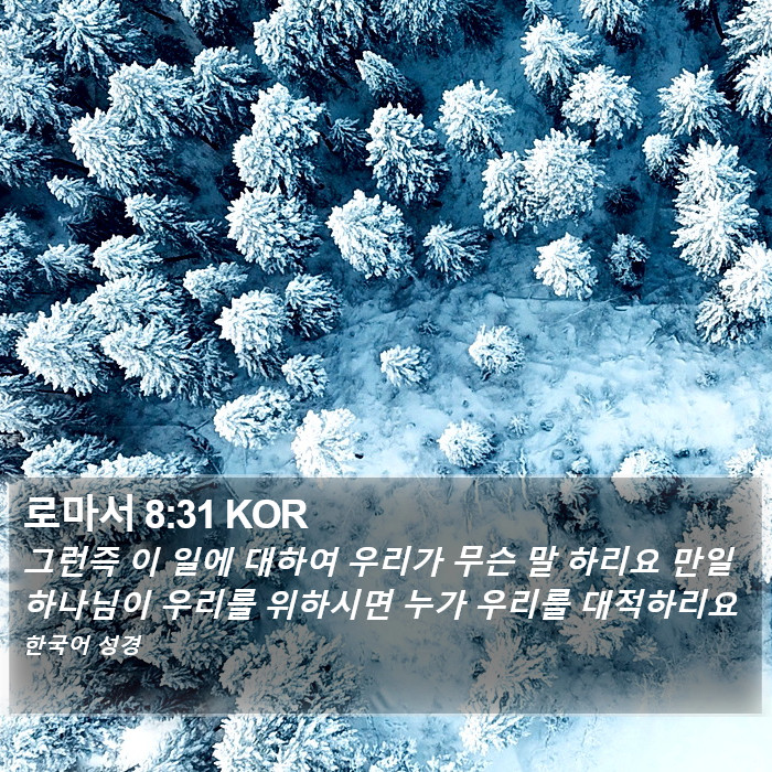 로마서 8:31 KOR Bible Study