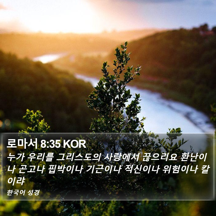 로마서 8:35 KOR Bible Study