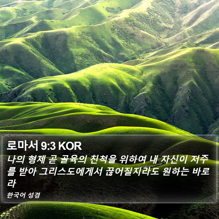 로마서 9:3 KOR Bible Study