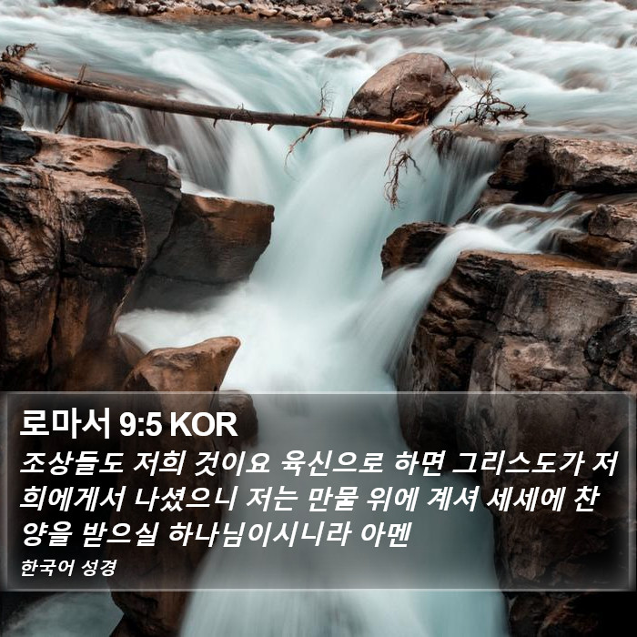 로마서 9:5 KOR Bible Study