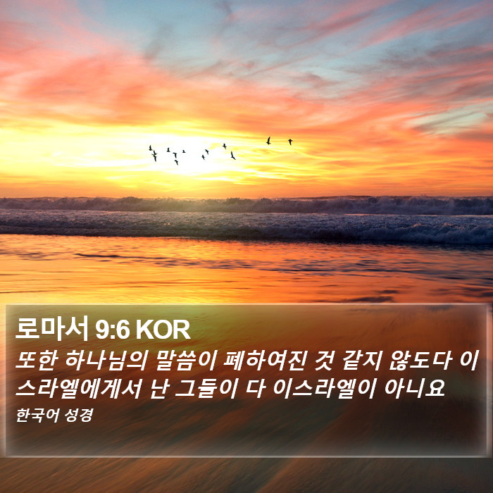 로마서 9:6 KOR Bible Study