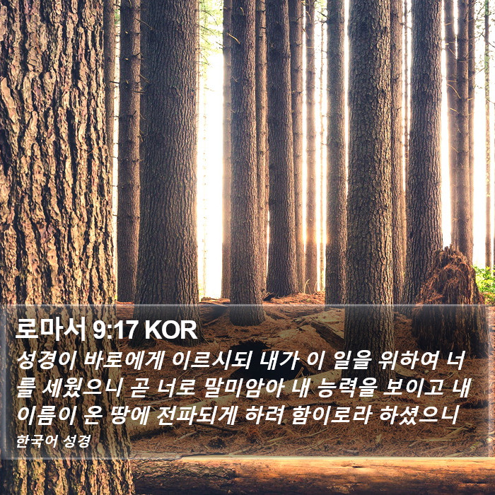 로마서 9:17 KOR Bible Study