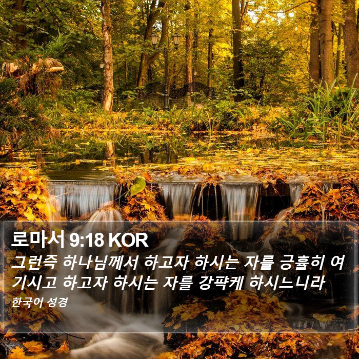 로마서 9:18 KOR Bible Study