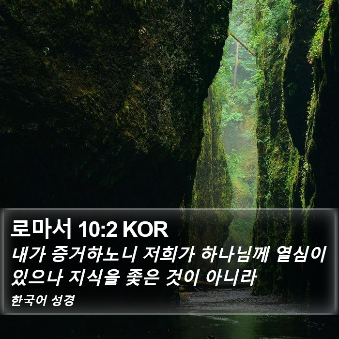 로마서 10:2 KOR Bible Study