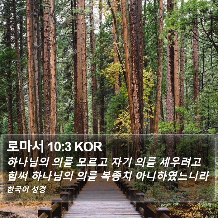 로마서 10:3 KOR Bible Study