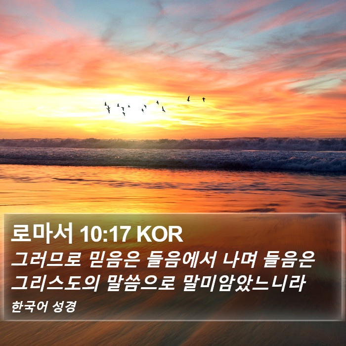 로마서 10:17 KOR Bible Study