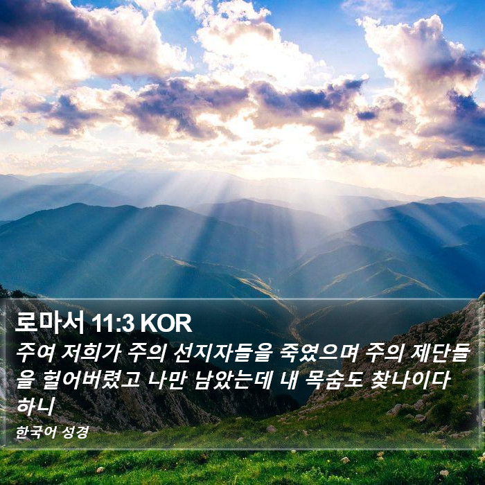 로마서 11:3 KOR Bible Study